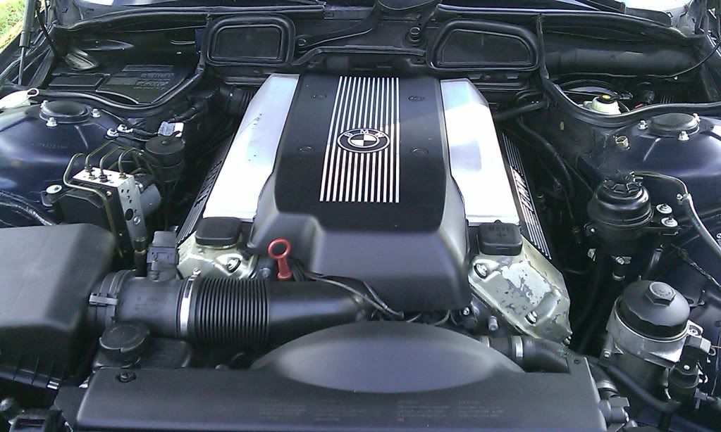 IMAG0276.jpg