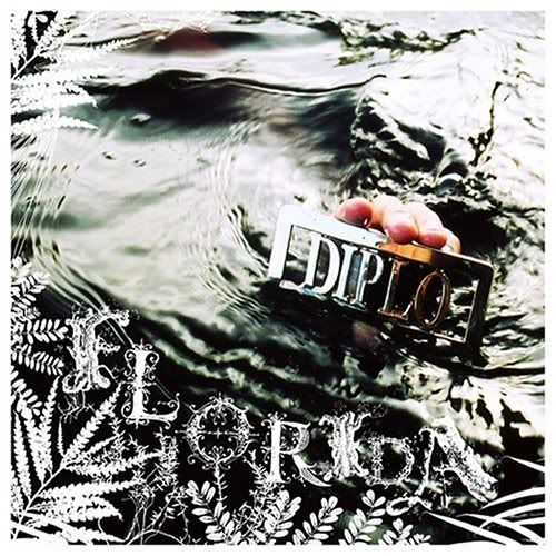 Diplo   Florida (2004) [DVD ISO] preview 0