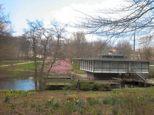 park1.jpg