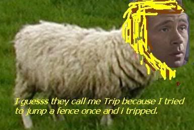 tripsheep.jpg