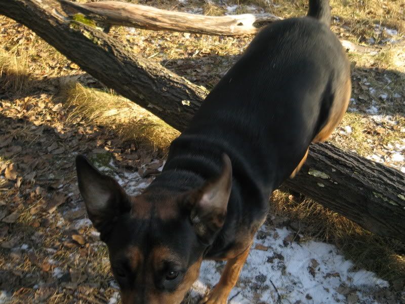 Bild165.jpg