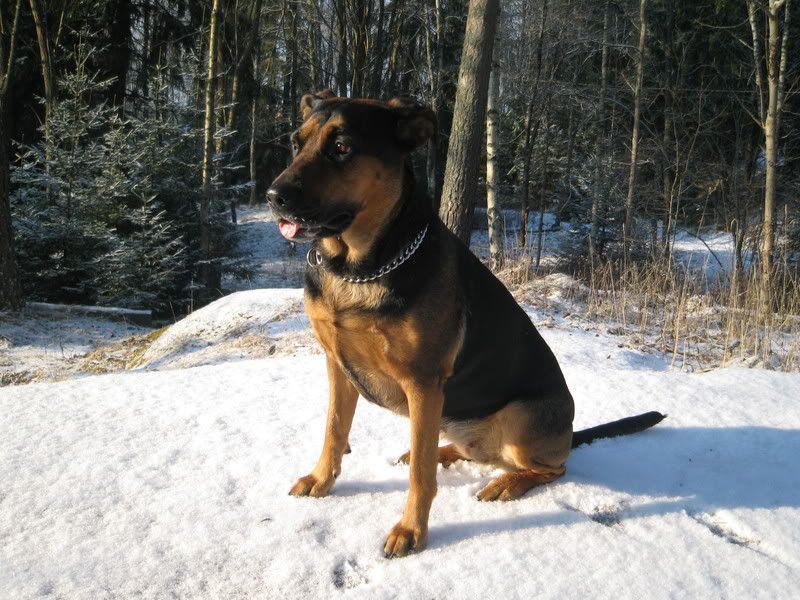 Bild184.jpg