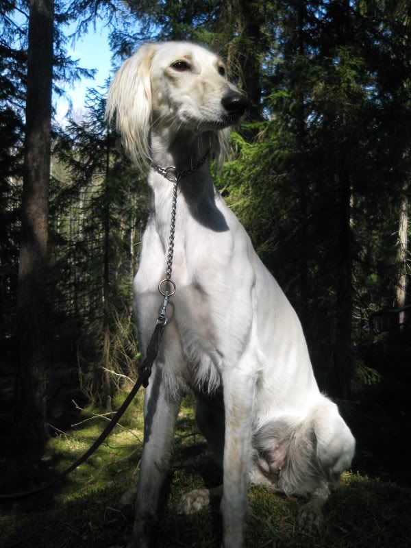 Bild696.jpg
