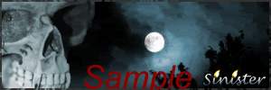 Night-Raider.gif