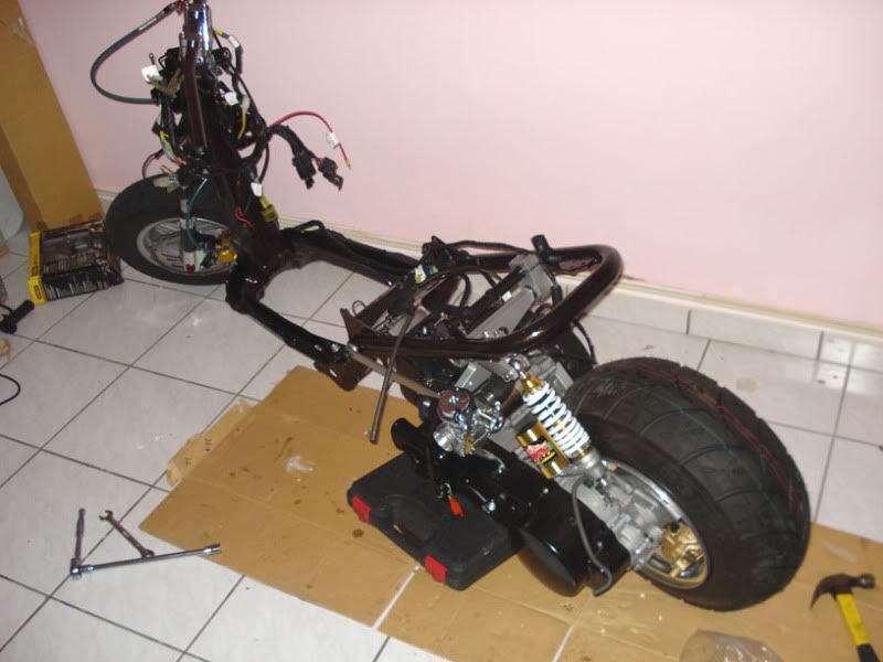 Ruckus ! dorby style.///miami fl - Honda-Tech - Honda Forum Discussion