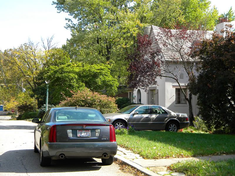 111016510clife.jpg