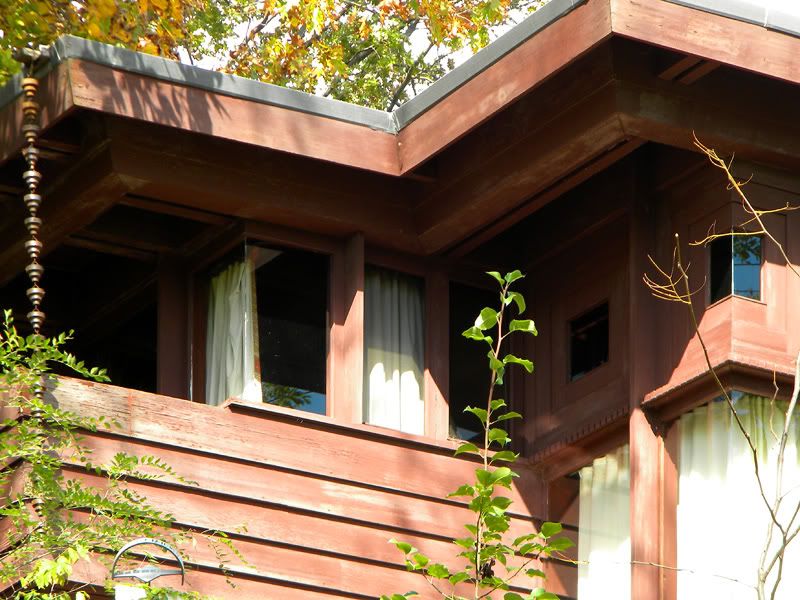 111016511clife.jpg
