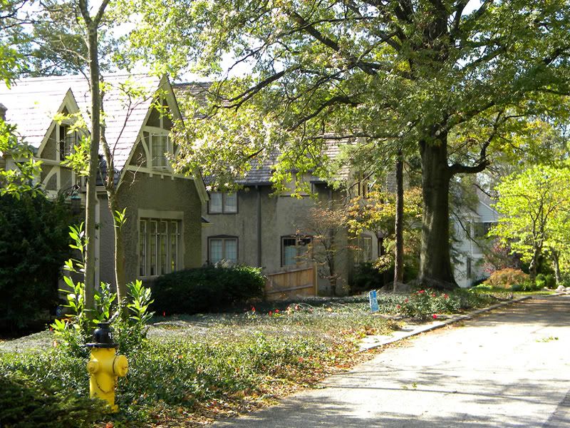 111016512clife.jpg