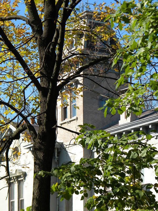 111016570clife.jpg