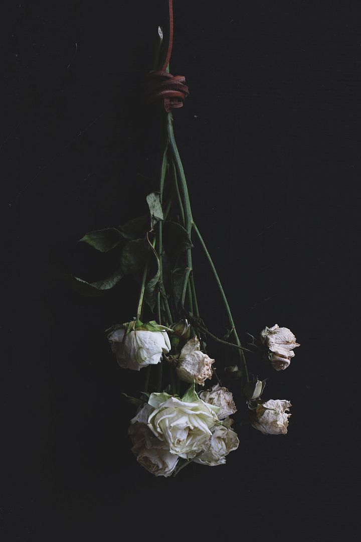photo DriedFlowers7_zps453aad2d.jpg