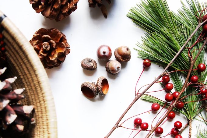  photo Natural holiday Decor - Acorns 1 copy_zps7wpp7dd4.jpg