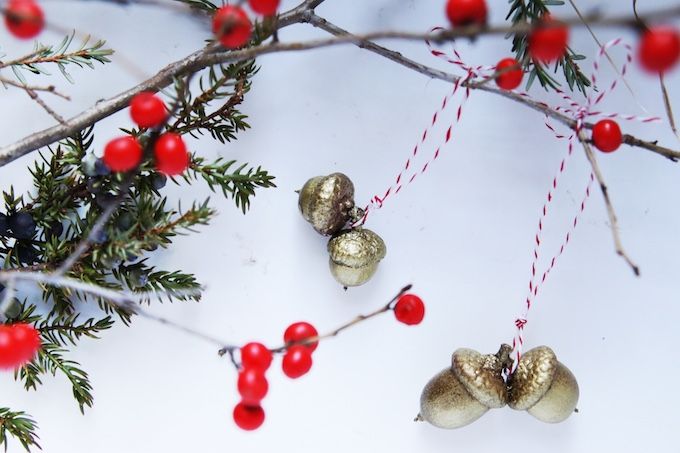  photo Natural holiday Decor - Acorns 2 copy_zpsyjc7zkuf.jpg