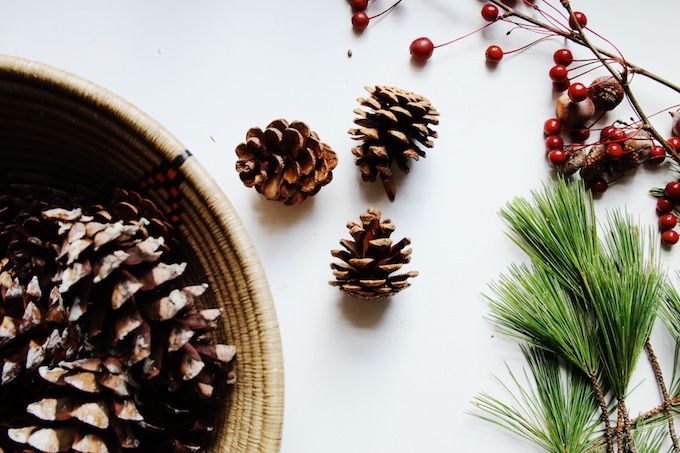  photo Natural holiday Decor - Pinecones 1 copy_zpsjb55qyg8.jpg