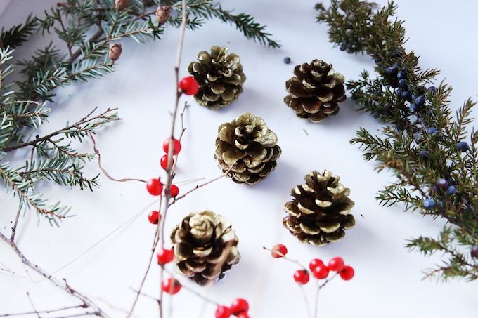  photo Natural holiday Decor - Pinecones 2 copy_zpsntgwwamu.jpg