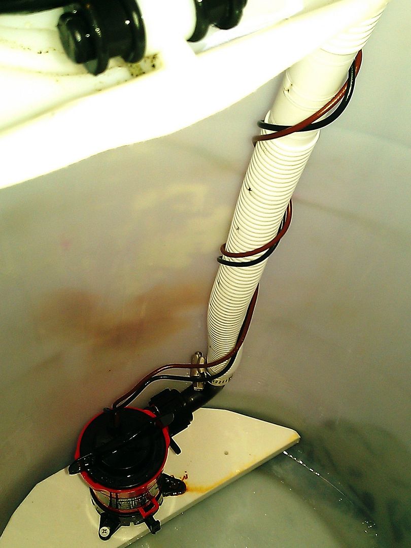 Live Bait Tank Setup Game Fishing Forum