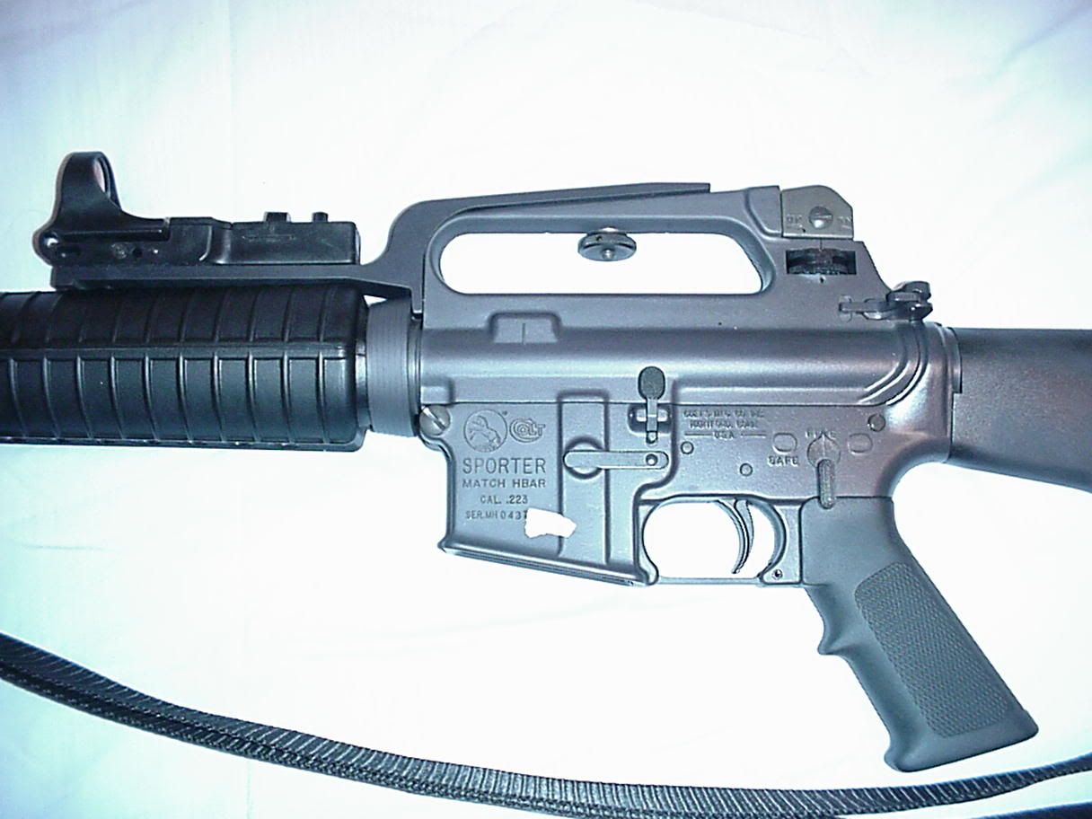 Anyone run a gooseneck mount on a carry handle?