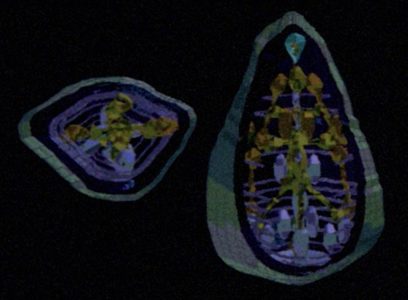 GomtuuXSection_zpsgd05tmuw.jpg