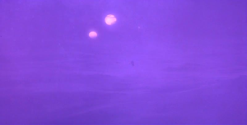 tuc0355.jpg
