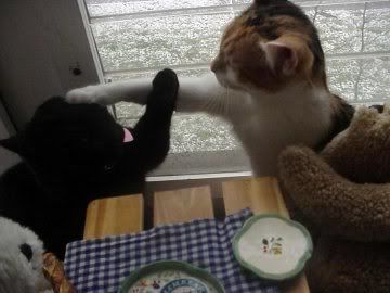 Photo Sharing and Video Hosting at Photobucket