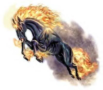 Firehorse-1.jpg