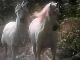 unicorns-5.jpg