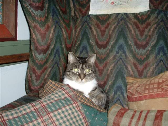 Image hosted by Photobucket.com