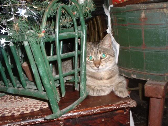 Image hosted by Photobucket.com