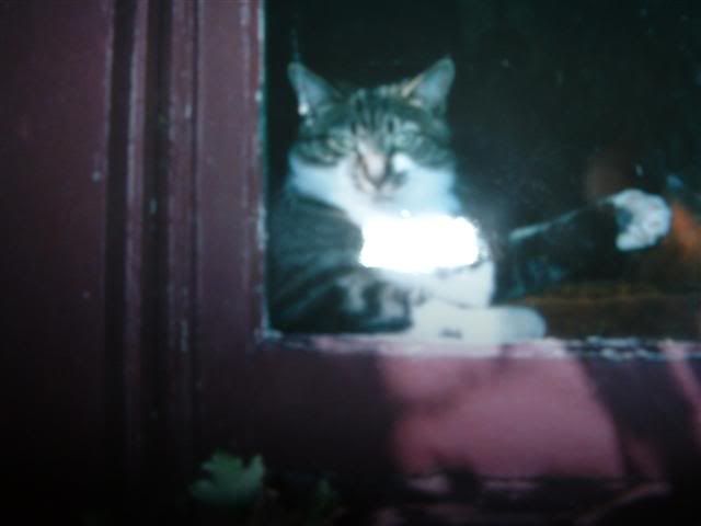 Image hosted by Photobucket.com