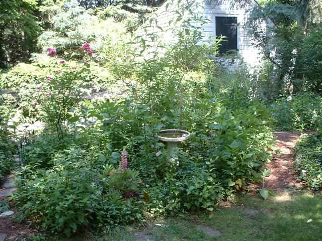 Image hosted by Photobucket.com