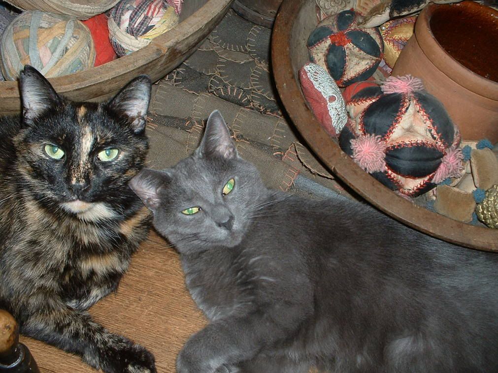 Image hosted by Photobucket.com