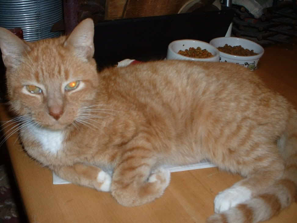 Image hosted by Photobucket.com