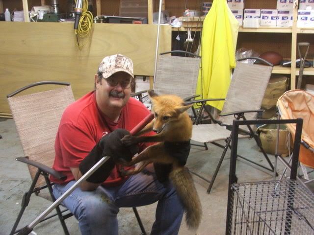 IMAGE: http://img.photobucket.com/albums/v368/fishguts1/animals/small.jpg