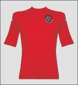 shirt_wal_home.jpg