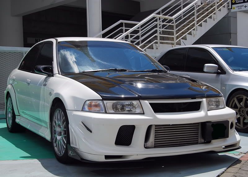 wingless1.jpg