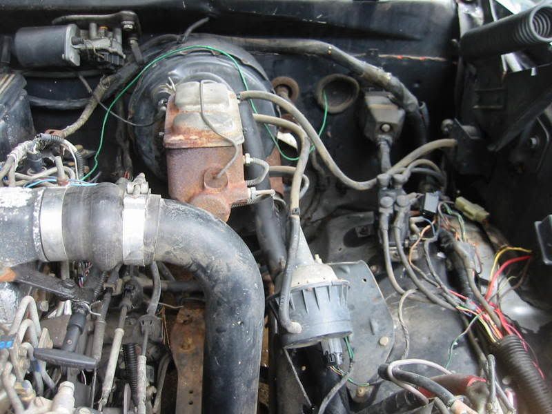 A rat ate my wiring harness! | Dodge Cummins Diesel Forum