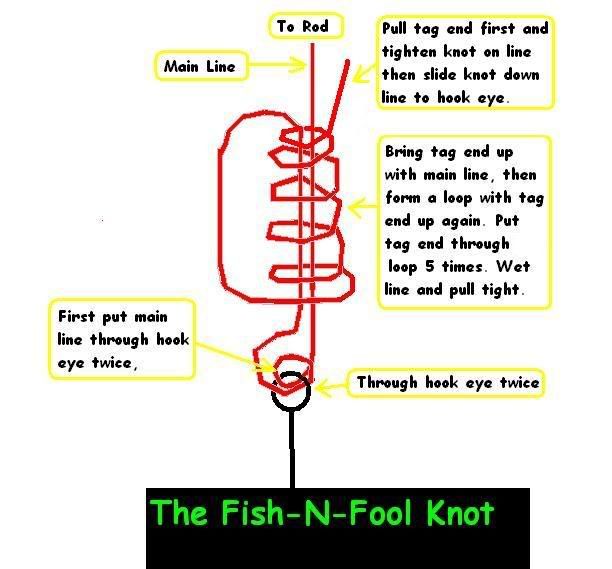 TheFish-N-FoolKnot.jpg
