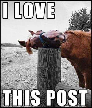 cmt-medium.jpeg