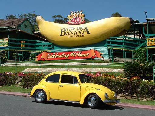 http://img.photobucket.com/albums/v370/buzzbug/01.jpg http://img.photobucket.com/albums/v370/buzzbug/01.jpg