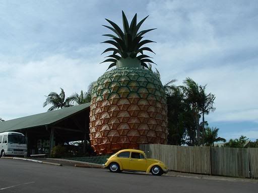 http://img.photobucket.com/albums/v370/buzzbug/03.jpg http://img.photobucket.com/albums/v370/buzzbug/03.jpg