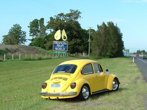 http://img.photobucket.com/albums/v370/buzzbug/04.jpg http://img.photobucket.com/albums/v370/buzzbug/04.jpg