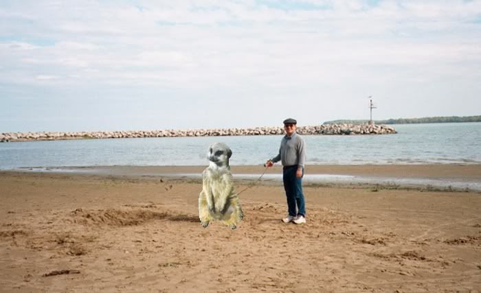 sandman1.jpg