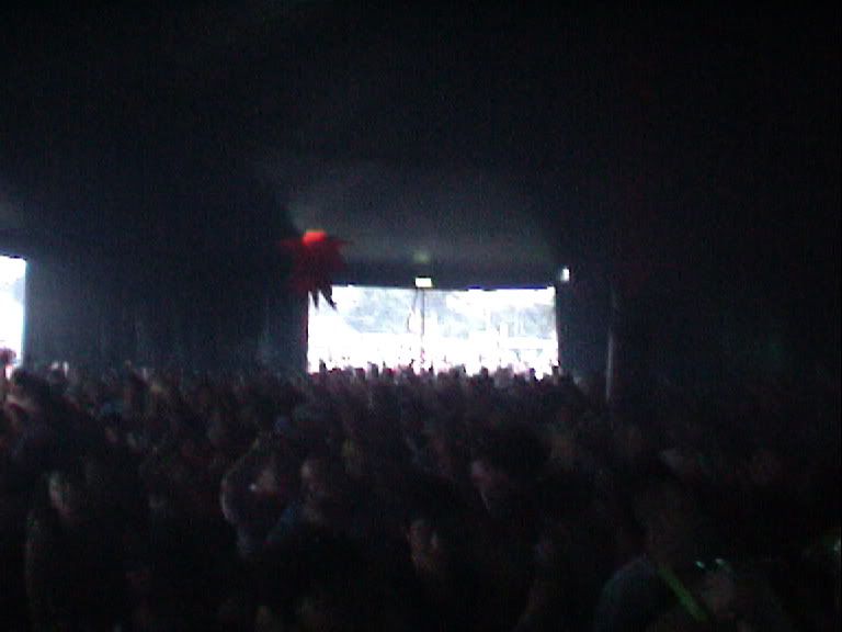 crowd_1.jpg