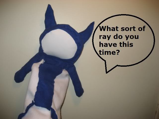 ray.jpg