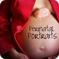 Vivacious Maternity and Lifestyle Photography