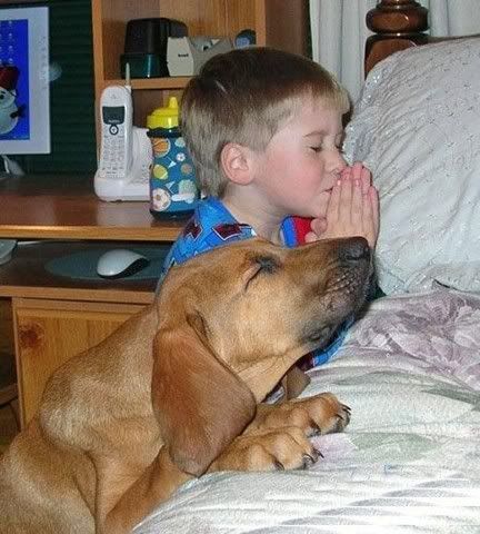 KidandDogPraying.jpg