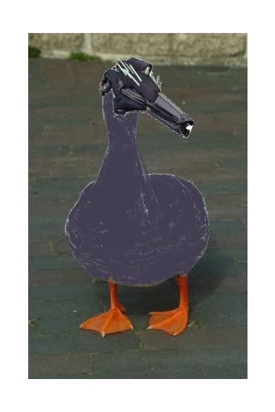 covenantduck.jpg