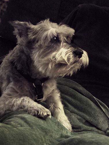 Image hosted by Photobucket.com