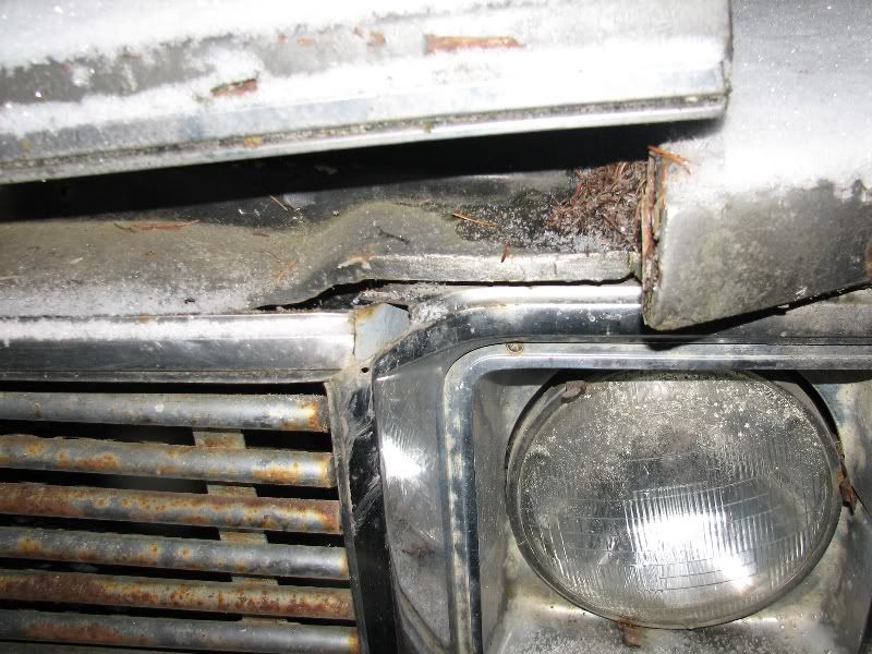 rightdatsunheadlightbezel.jpg