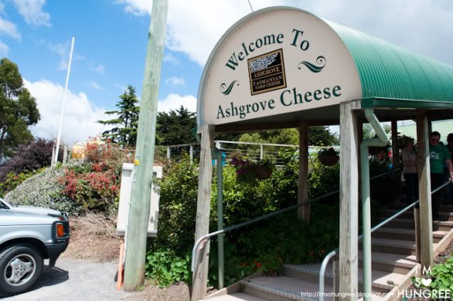 ashgrove cheese