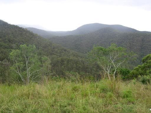 jacobs well gold coast queensland australia. around Jacob#39;s Well,